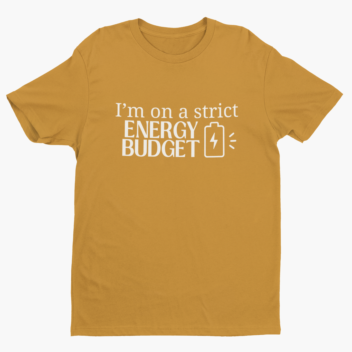 Energy Budget