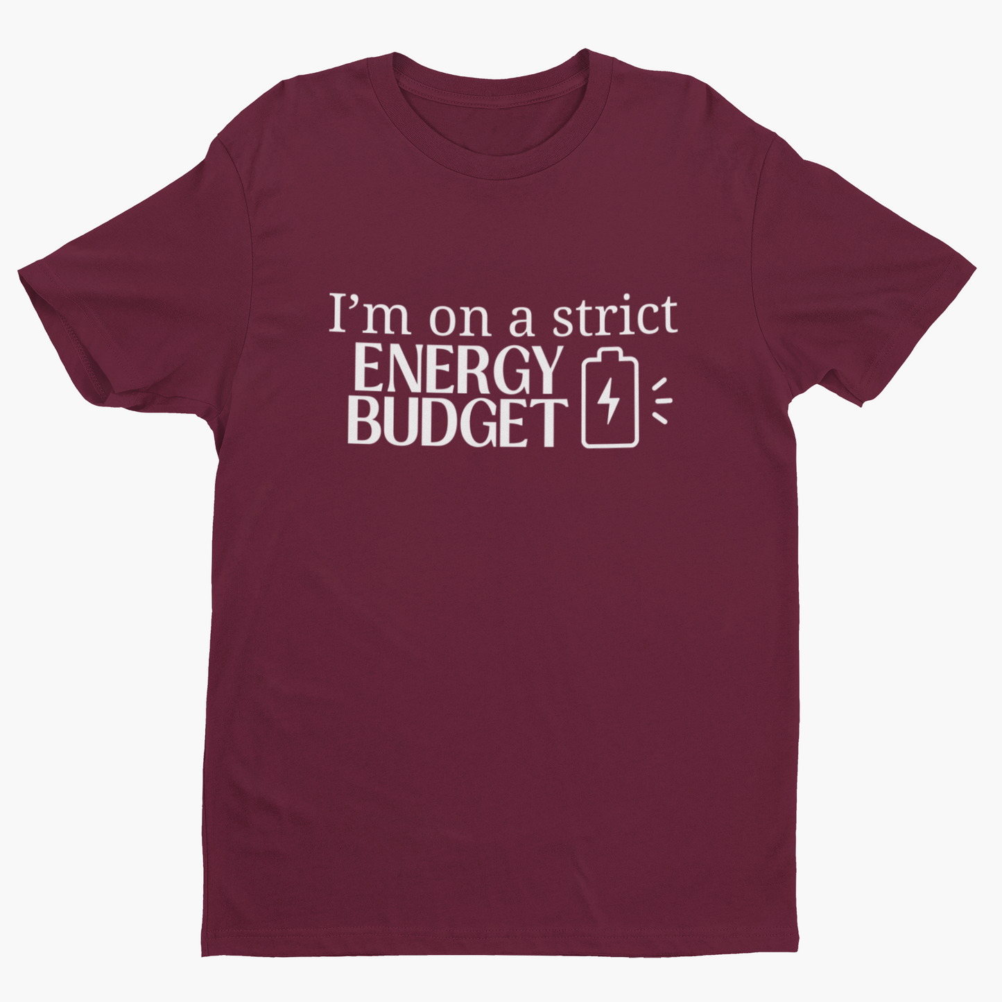 Energy Budget